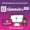 Elementor Pro Activation With Key