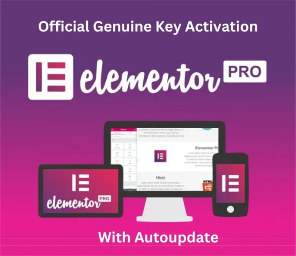 Elementor Pro Activation With Key